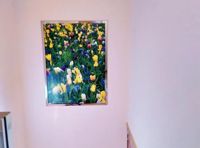 En Fanlo Y Valle * Vio